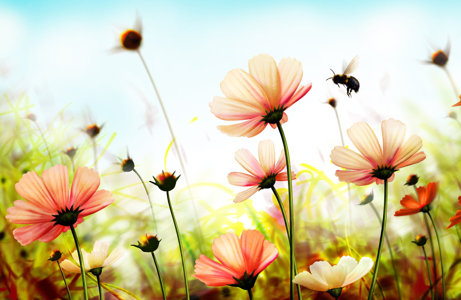  Studio Flower Guldasta Full HD Background For Photo  MyGodImages