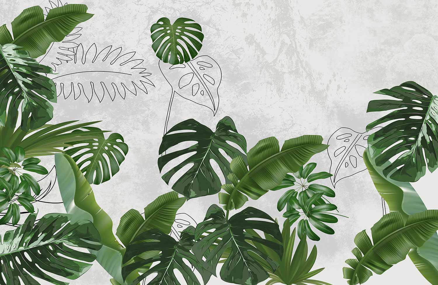 Organico Monstera