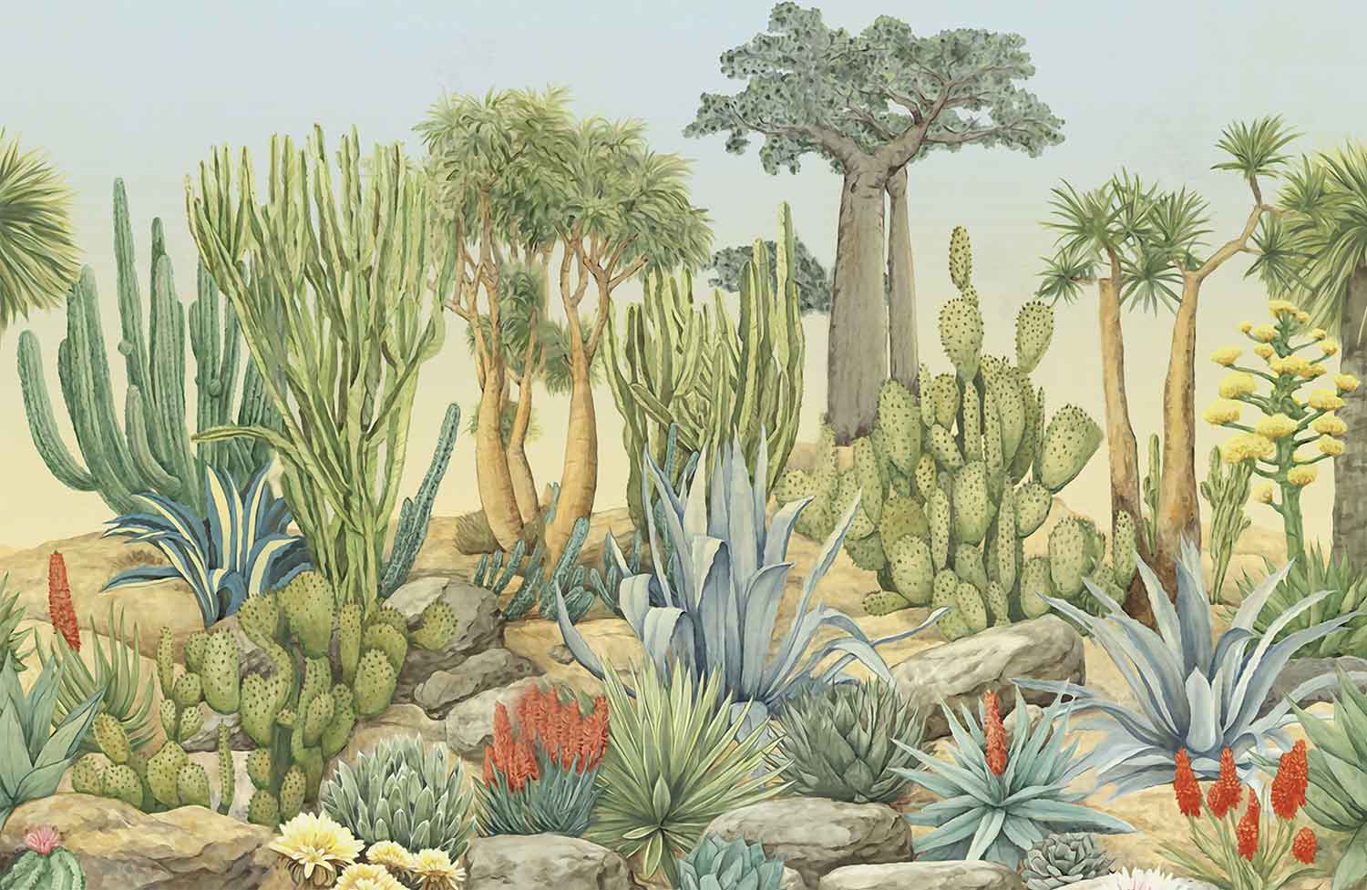 Boho Cactus