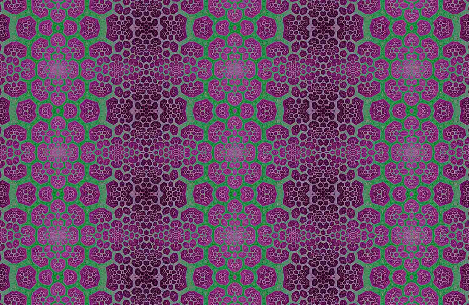 Fractal