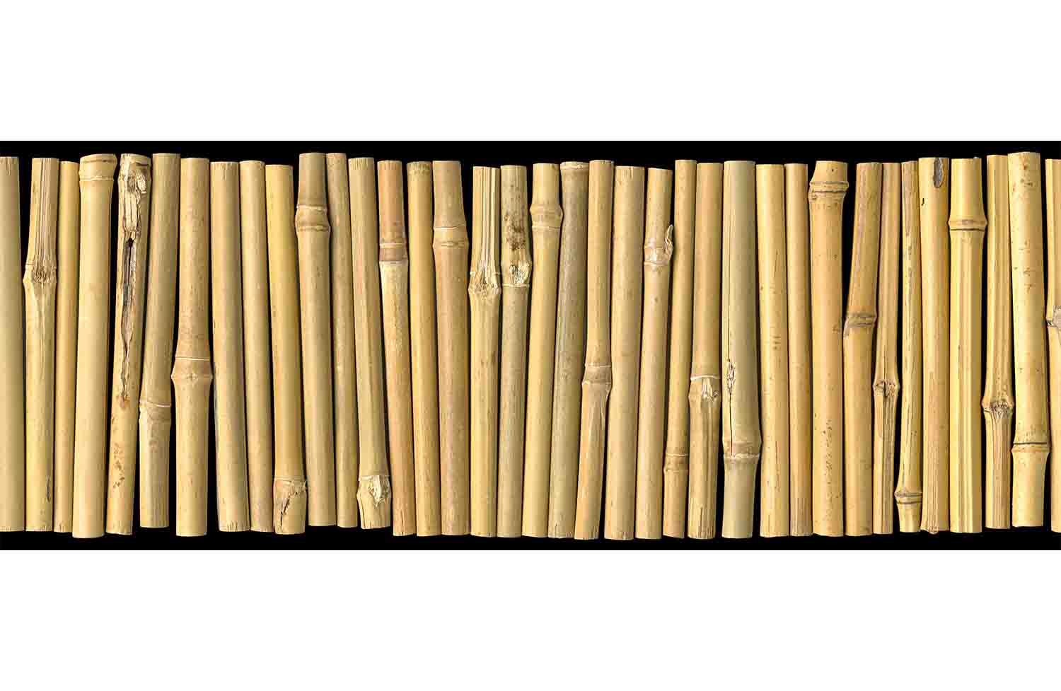 Bamboo