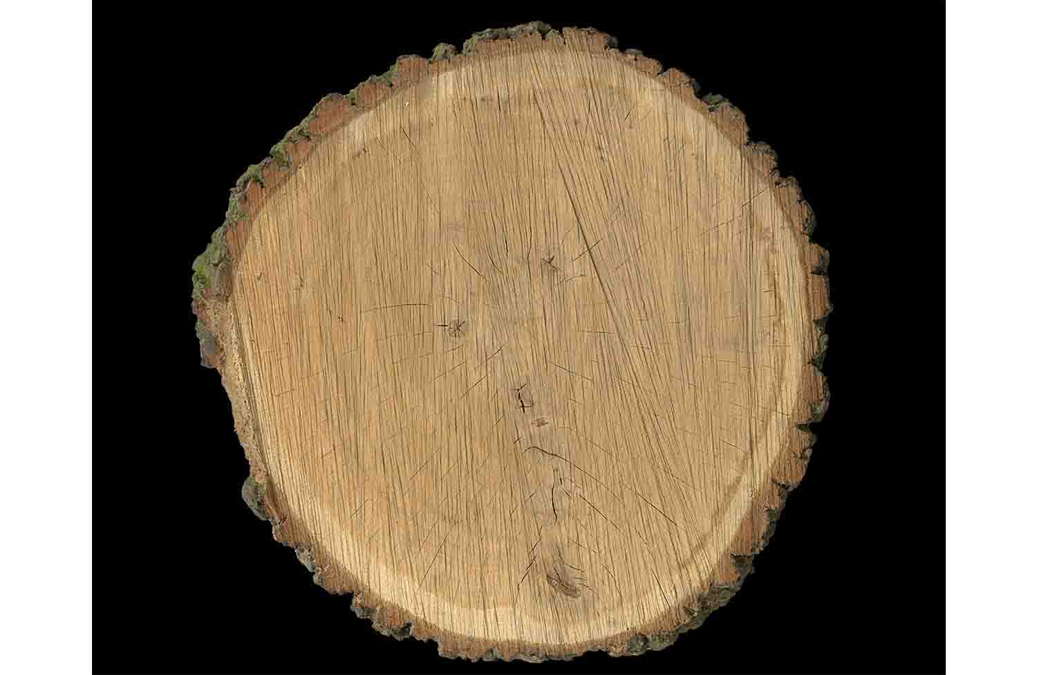 Woodlog